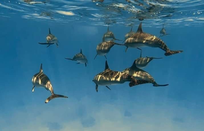 395368716_10224628255720126_8642571146122498570_n