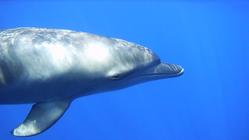 SUNP0027 - frame at 0m7s