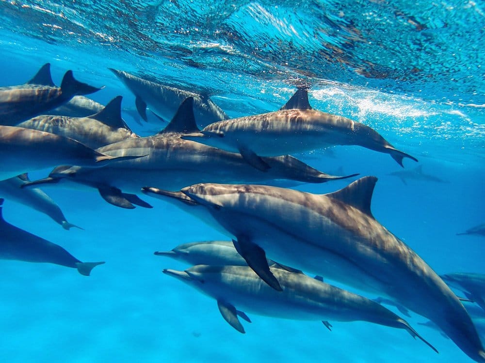 WhatsApp Image 2026-01-10 at 17.29.06 (2)