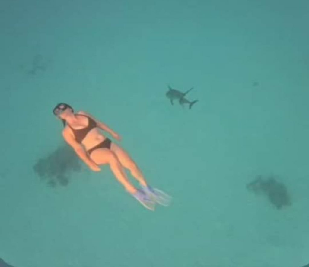 WhatsApp Image 2026-01-10 at 17.29.30