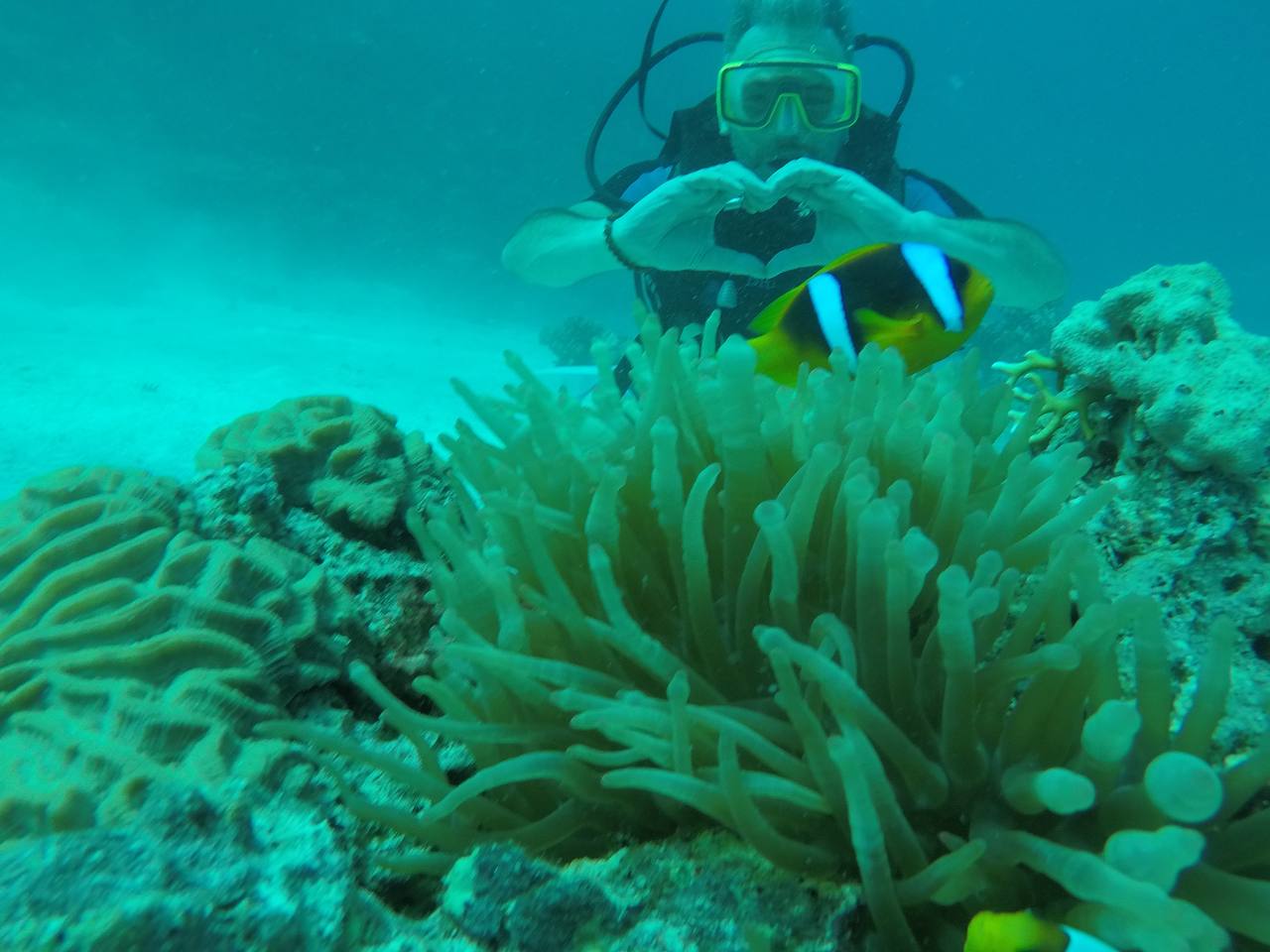 photo_2026-01-10_11-37-59