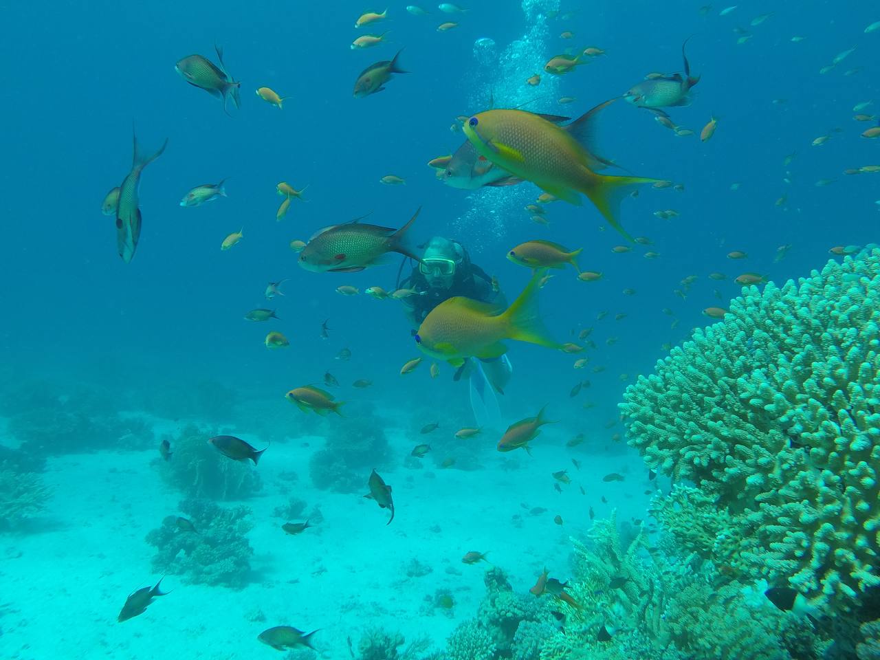 photo_2026-01-10_11-38-16