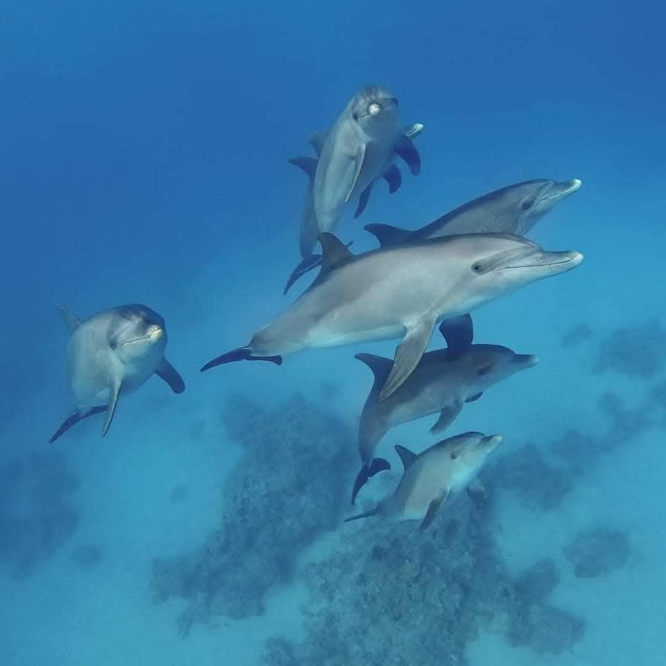 photo_2026-01-12_20-15-55